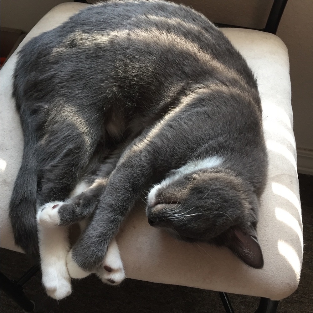 Meet your Posher, Rita